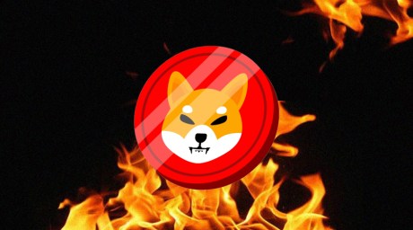 shiba-inu-(shib)-burn-rate-sees-exponential-627%-jump