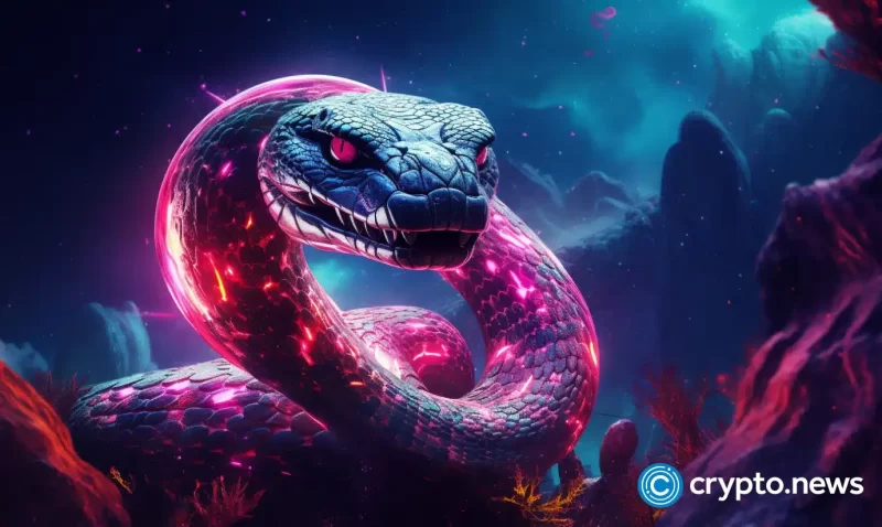 snook-launches-on-arbitrum,-to-distribute-usdc-rewards