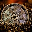 the-most-impressive-highlights-from-the-cardano-development-report