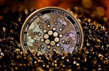 the-most-impressive-highlights-from-the-cardano-development-report