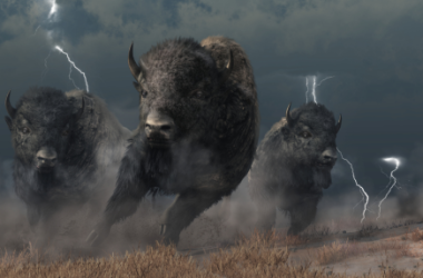 bitcoin-cash-bulls-charge:-13%-price-rally-driven-by-fresh-demand