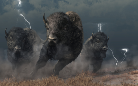 bitcoin-cash-bulls-charge:-13%-price-rally-driven-by-fresh-demand