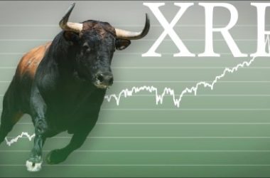 xrp-price-disappoints:-crypto-analyst-reveals-why-he-will-no-longer-accumulate