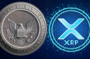 pro-xrp-lawyer-reveals-the-impact-of-sec’s-lawsuit-against-ripple