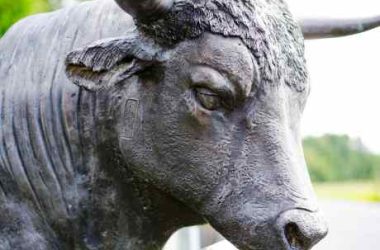 bitcoin-sv-(bsv)-notches-8%-in-the-last-day-as-top-coins-bleed