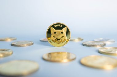 shiba-inu-struggles-amidst-whale-exodus-as-memeinator-presale-takes-off