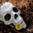 bitcoin-doom-signal-warns-of-50%-crypto-collapse