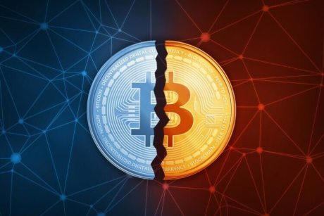 what-to-expect-if-historical-bitcoin-halving-cycles-repeat