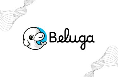 crypto-confidence-booster-beluga-bags-$4m-seed-funding