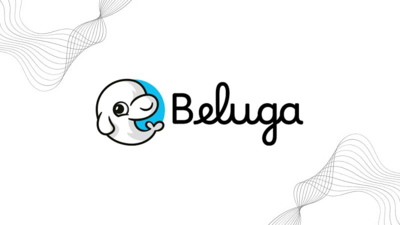 crypto-confidence-booster-beluga-bags-$4m-seed-funding