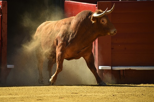 crypto-rally-adds-$46-billion-to-global-market-cap:-here’s-why-prices-are-up