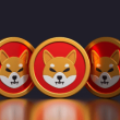 new-shib-based-token-on-the-way?-shiba-inu-team-member-shares-important-update