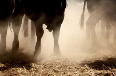 ethereum-accelerates-toward-$2,000-but-can-the-bulls-make-it?
