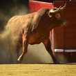 bitcoin-price-skyrockets-to-$35k-on-fresh-spot-etf-news