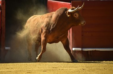 bitcoin-price-skyrockets-to-$35k-on-fresh-spot-etf-news