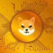 shiba-inu-price-prints-rare-buy-signal,-what-you-need-to-know