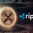 pro-xrp-legal-expert-shares-expectations-if-sec-wins-appeal-against-ripple