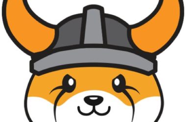 floki-launches-real-world-asset-tokenization-platform-tokenfi,-token-surges-29.01%
