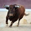 bitcoin-price-to-hit-$125k-by-end-of-2024:-matrixport