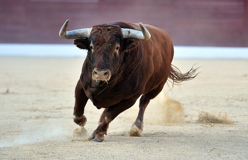 bitcoin-price-to-hit-$125k-by-end-of-2024:-matrixport