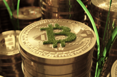 bitcoin-season:-leading-the-charge-in-the-crypto-market