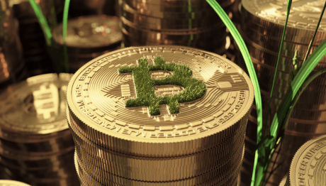 bitcoin-season:-leading-the-charge-in-the-crypto-market