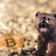 the-end-is-near-for-trellor-(trb):-crypto-analyst-says-prepare-for-50%-drop
