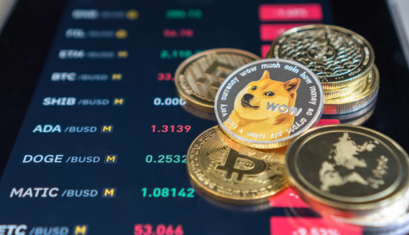 charting-the-dogecoin-path:-more-gains-on-the-horizon?