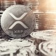 ripple-partner’s-staggering-xrp-holdings-revealed,-do-they-know-something-you-don’t?