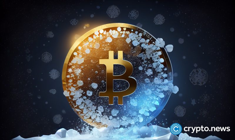 bitcoin-holds-strong-with-higher-market-cap-than-tesla-despite-bear-market