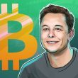 elon-musk-slams-nfts-but-ends-up-arguing-the-case-for-bitcoin-ordinals