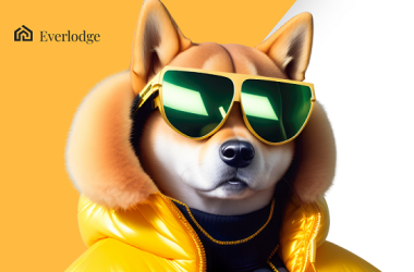 morgan-stanley-bullish-on-bitcoin-halving;-shiba-inu,-bnb,-and-this-new-token-could-soar