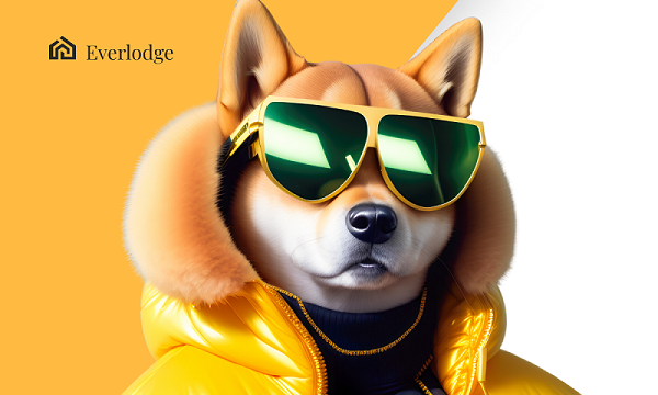 morgan-stanley-bullish-on-bitcoin-halving;-shiba-inu,-bnb,-and-this-new-token-could-soar