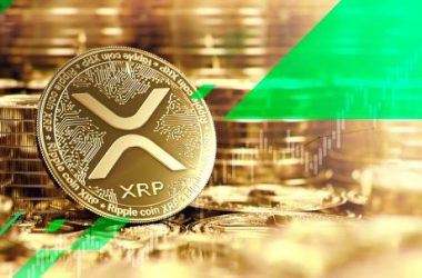 legal-expert-explains-why-ripple-will-always-back-xrp