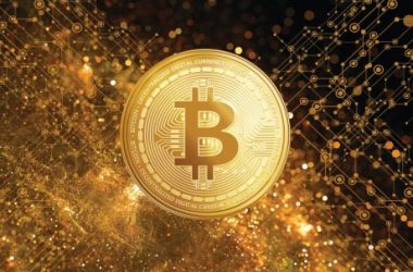 why-this-fidelity-investments-director-believes-bitcoin-is-‘exponential-gold’