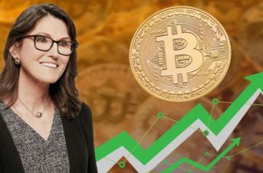 crypto-market-cap-to-$25-trillion:-cathie-wood-reveals-the-2-coins-to-buy