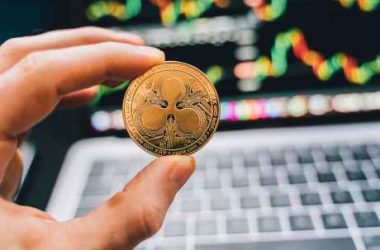 crypto-analyst-predicts-xrp-price-will-reach-$1.35-as-these-metrics-heat-up