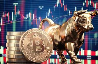 crypto-market-expert-identifies-the-trigger-for-600%-bitcoin-price-surge