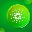 cardano-forecast:-crypto-analyst-identifies-the-event-that-could-send-ada-price-to-$11