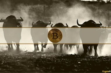 bitcoin-soars-to-18-month-high-above-$38k-despite-changpeng-zhao’s-departure-from-binance:-this-week’s-recap