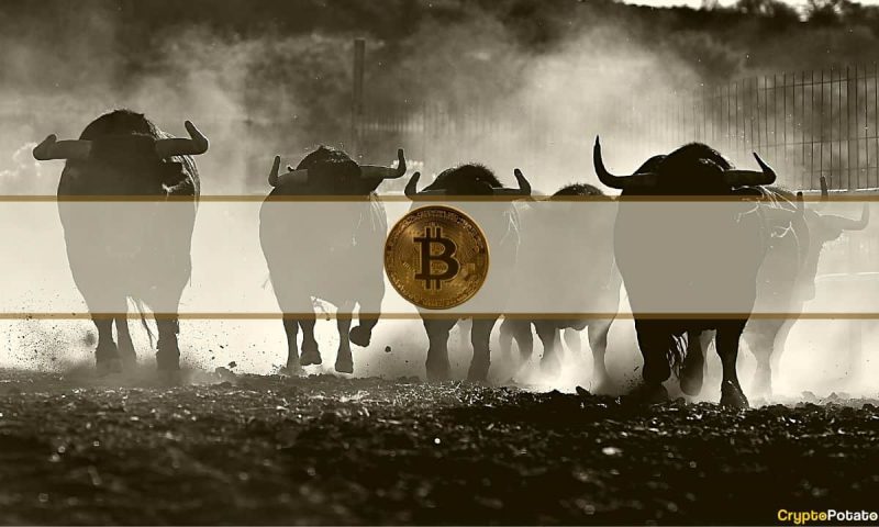 bitcoin-soars-to-18-month-high-above-$38k-despite-changpeng-zhao’s-departure-from-binance:-this-week’s-recap