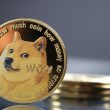 dogecoin-(doge)-price-primed-for-upcoming-price-surge-according-to-these-on-chain-metrics?