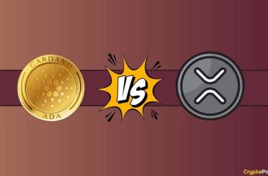 we-asked-chatgpt-if-cardano-(ada)-will-outperform-ripple-(xrp)-in-2024