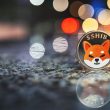 shib-burn-rate-soars,-pepe-market-cap-nears-$500m,-as-memeinator-token-presale-thrives