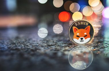 shib-burn-rate-soars,-pepe-market-cap-nears-$500m,-as-memeinator-token-presale-thrives