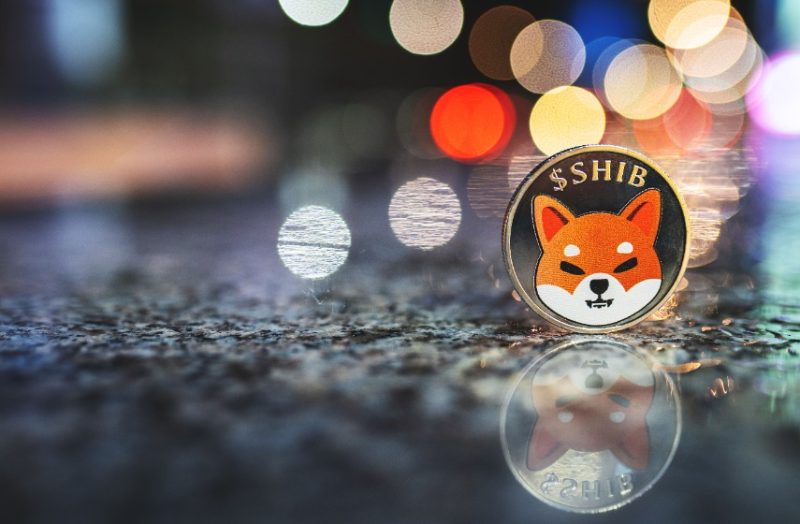 shib-burn-rate-soars,-pepe-market-cap-nears-$500m,-as-memeinator-token-presale-thrives