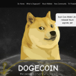 new-altcoin-steals-the-show-as-bonk-surges-on-kucoin-listing-and-dogecoin’s-on-chain-rises