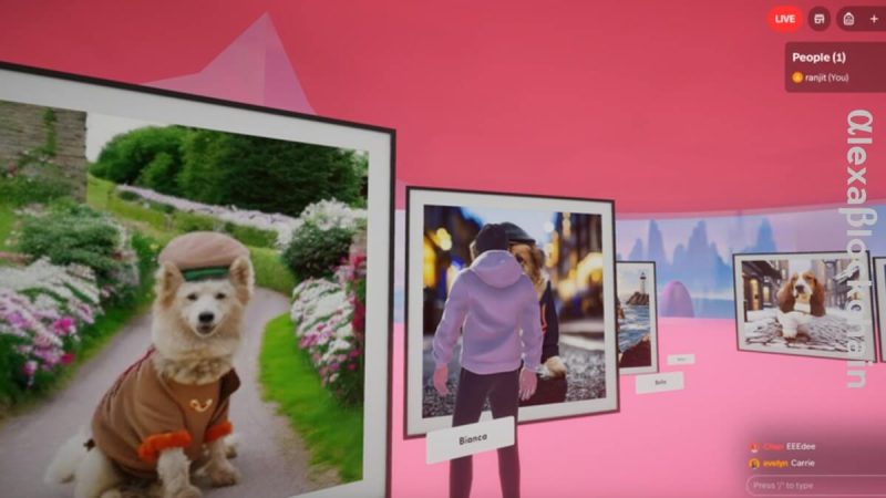 launching-the-doris-metaverse:-a-new-era-in-dog-rescue-and-adoption