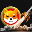 shibarium-transactions-sees-4,400%-explosion,-time-for-shib-and-bone-ath?