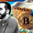 nayib-bukele-claims-profit-on-el-salvador’s-bitcoin-despite-data-showing-losses